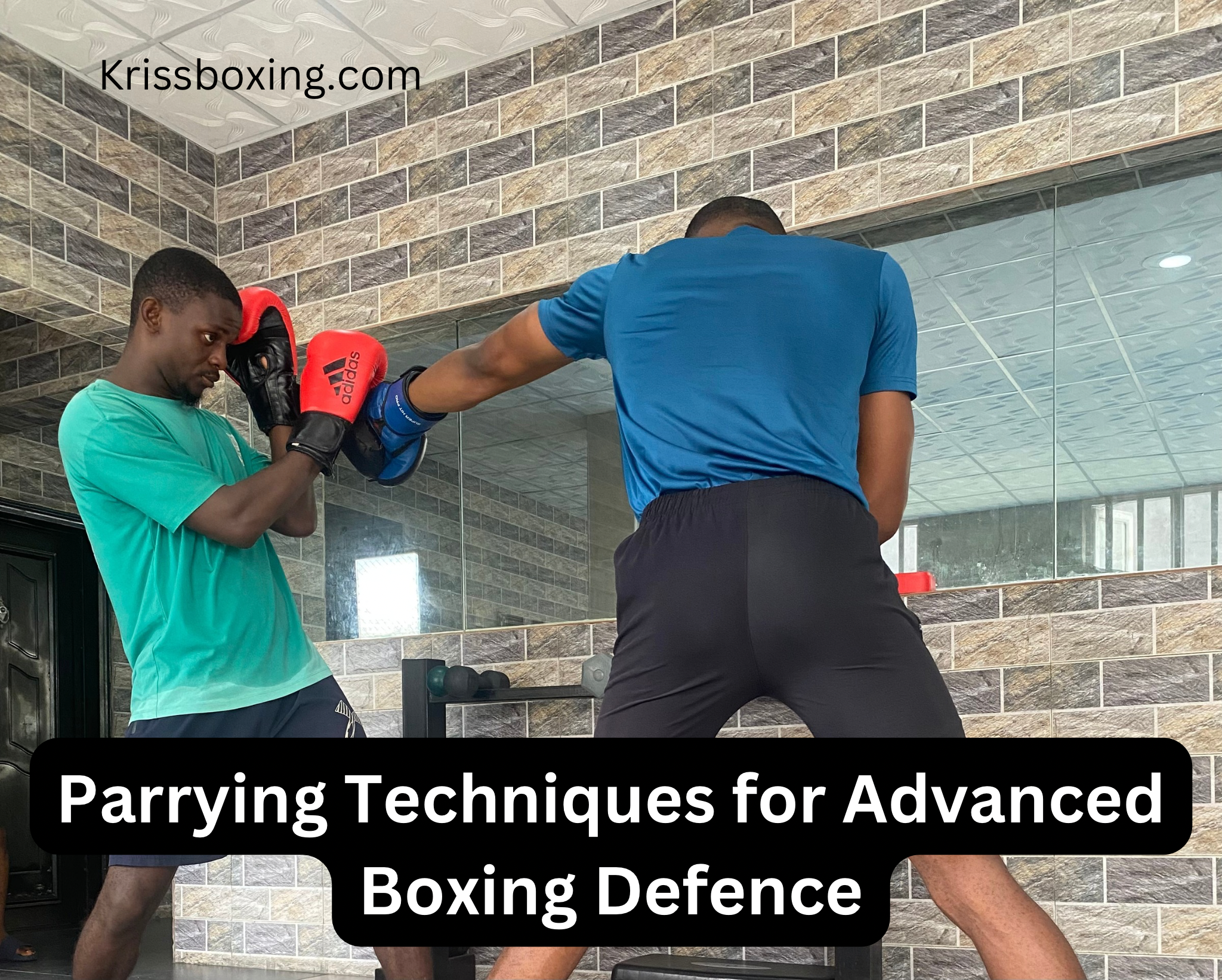 Parrying Techniques for Advanced Boxing