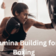 Stamina Building for Boxing: Top 10 Best Exercises