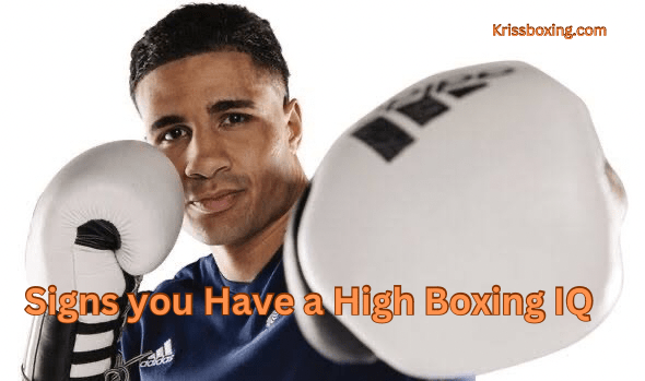 Top 5 Signs You Have a High Boxing IQ