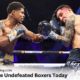 Top 10 Best Active Undefeated Boxers Today