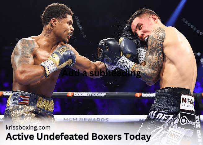 Top 10 Best Active Undefeated Boxers Today