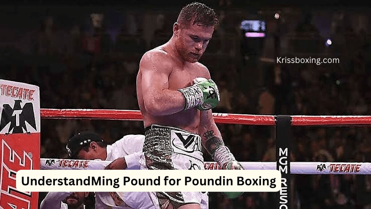 Understanding Pound for Pound in Boxing